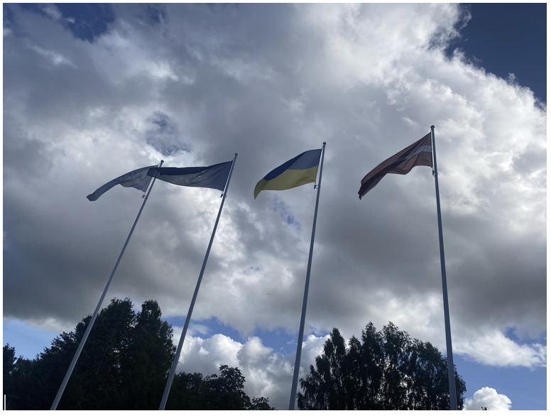 flags