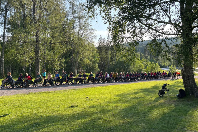 Liela cilvēku grupa ratiņkrēslos pārvietojas pa saules izgaismotu ceļu pa zaļu parku, ko ieskauj koki un zāle, un pēcpusdienas saule met ēnas.